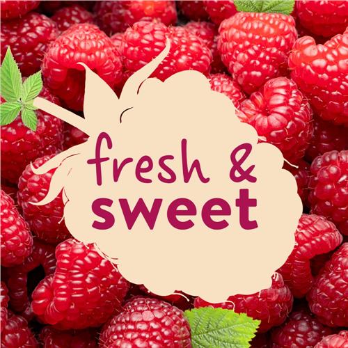 Confiture de framboises sans pépins Kroger 510 g