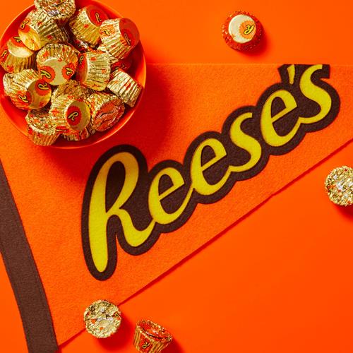 Reeses Miniatures Milk Chocolate Peanut Butter Cups, Candy Family Pack, 17.6 Oz