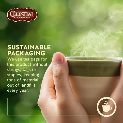Celestial Seasonings 100% Natural Lemon Zinger Herbal Tea 20 Ct