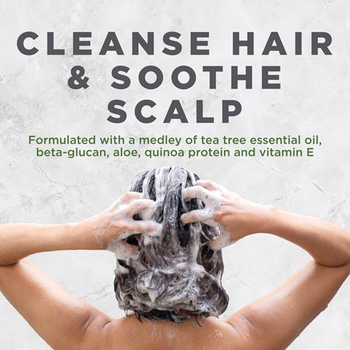 Shampooing traitant à l'arbre à thé pour le cuir chevelu Avalon Organics, favorise le bien-être du cuir chevelu et laisse les cheveux doux, 325 ml