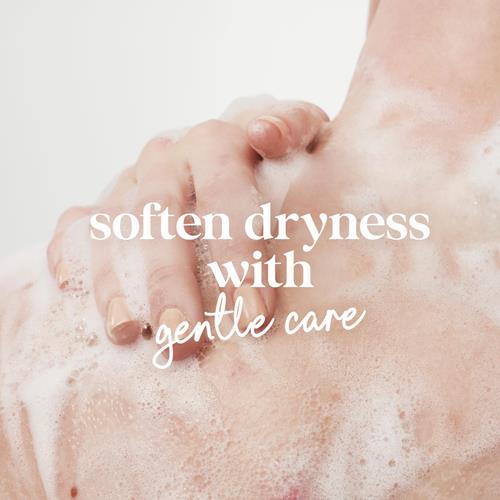 Pain Moussant Dove Hypoallergénique et sans sulfate pour peaux sensibles, élimine efficacement les bactéries tout en nourrissant votre peau, 591 ml (lot de 2)