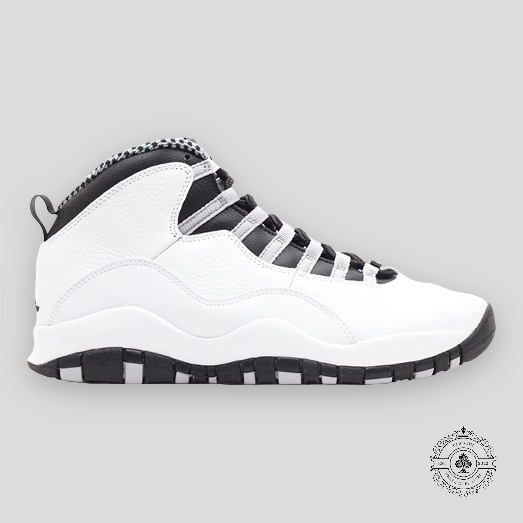 Air Jordan 10 Retro « Steel » (2013)