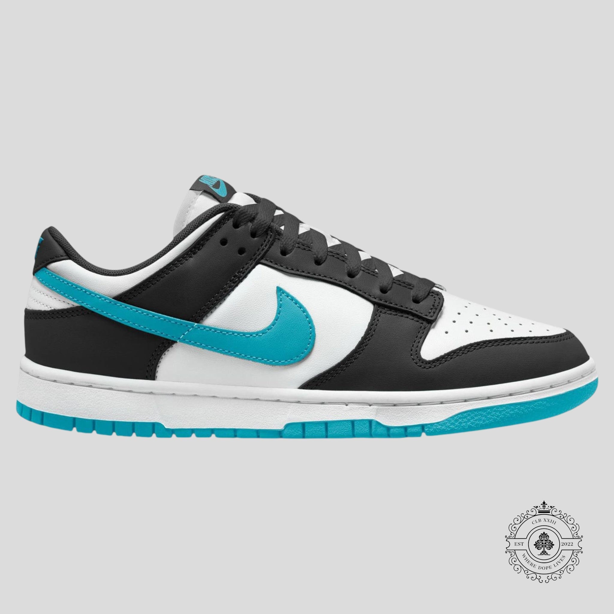 Nike Dunk Low Noir Cactus Poussiéreux