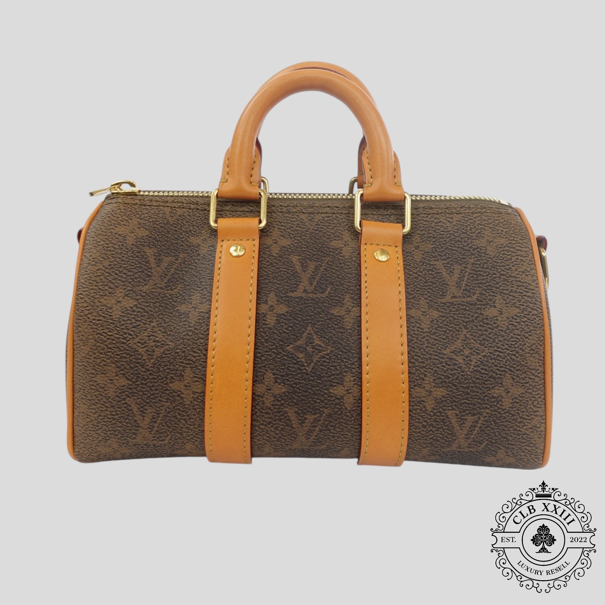 Louis Vuitton Monogramme Poussière Keepall 25