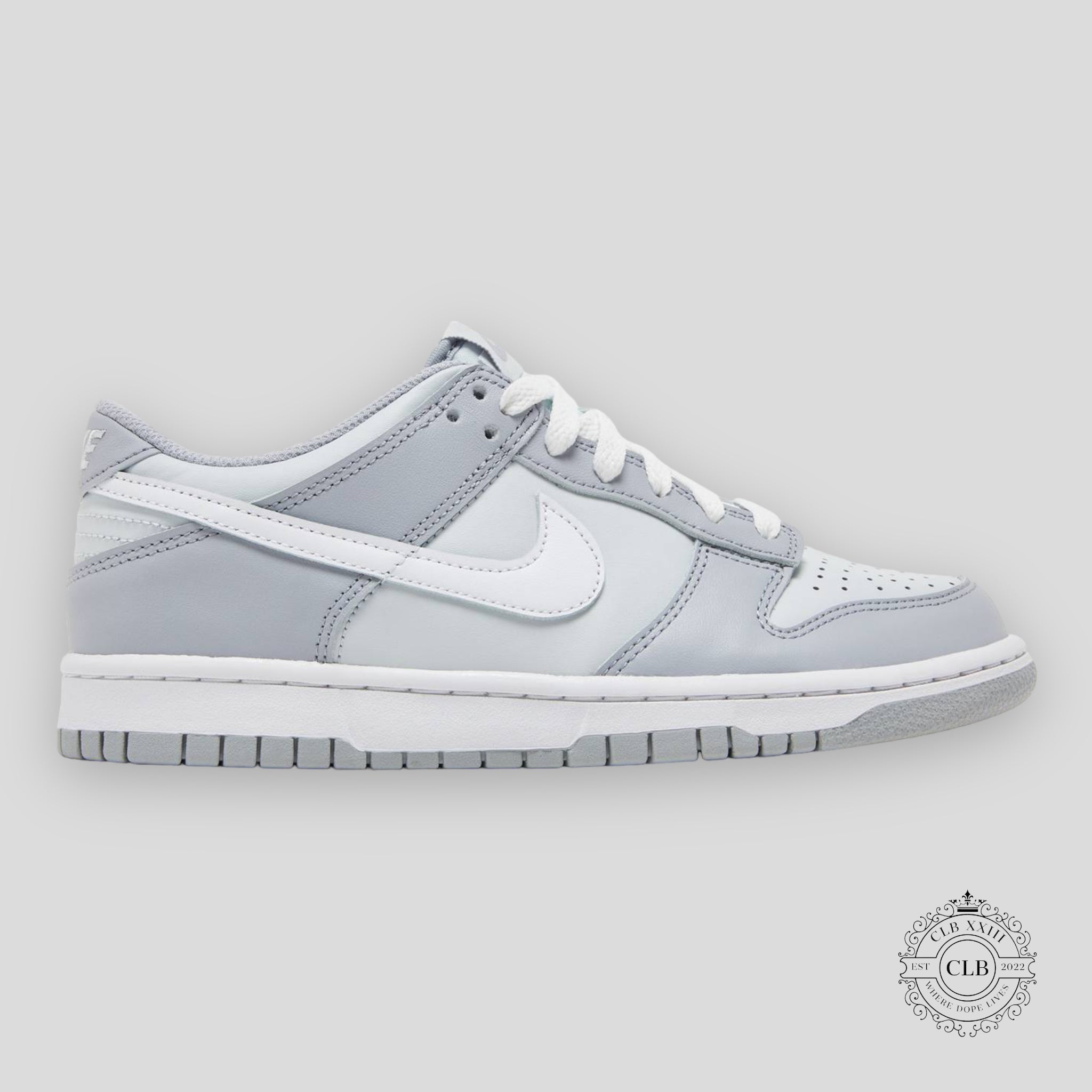 Nike Dunk Low GS Gris Bicolore