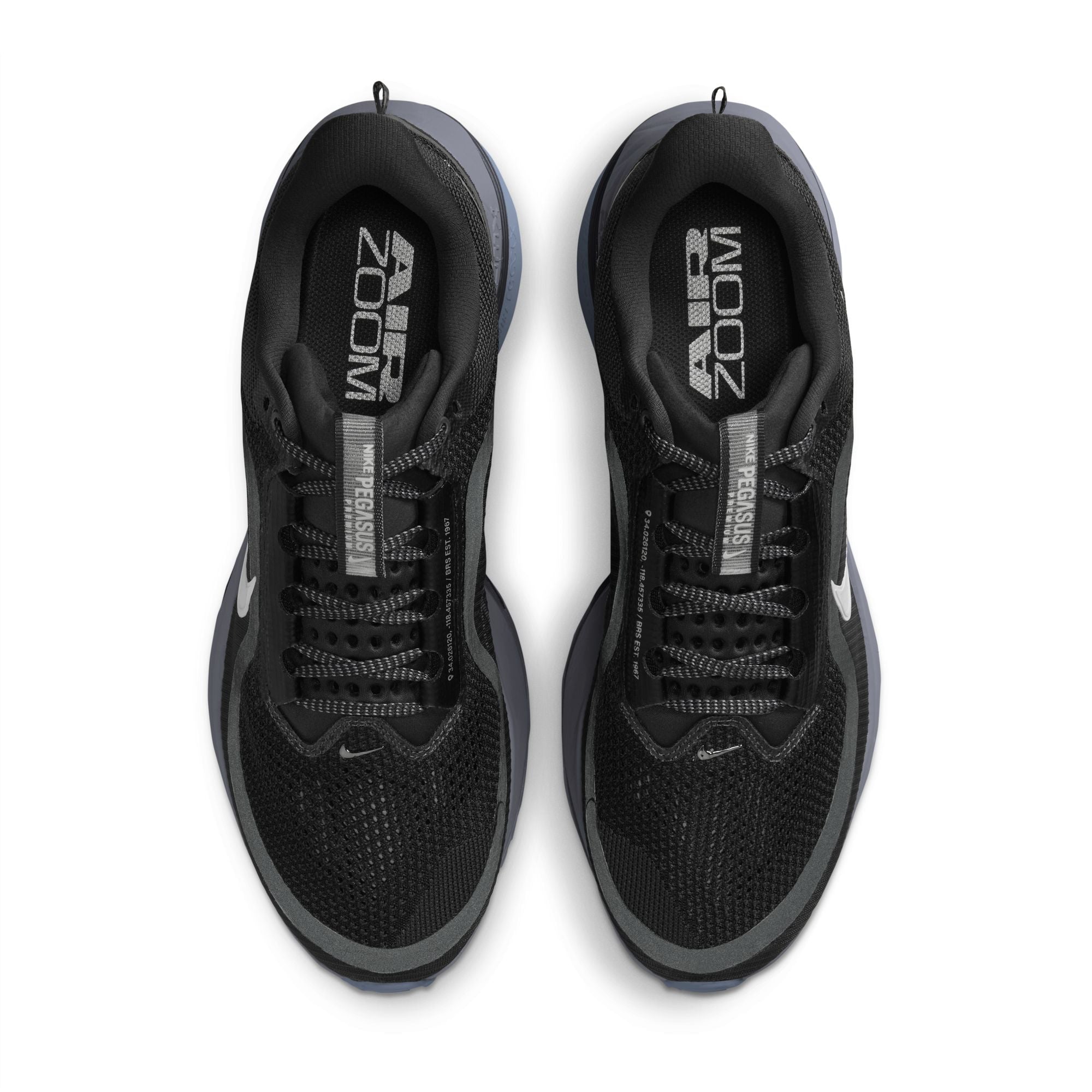 Nike Homme Pegasus Premium - Anthracite