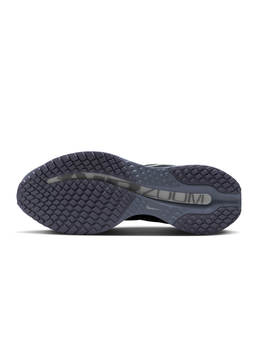 Nike Homme Pegasus Premium - Anthracite