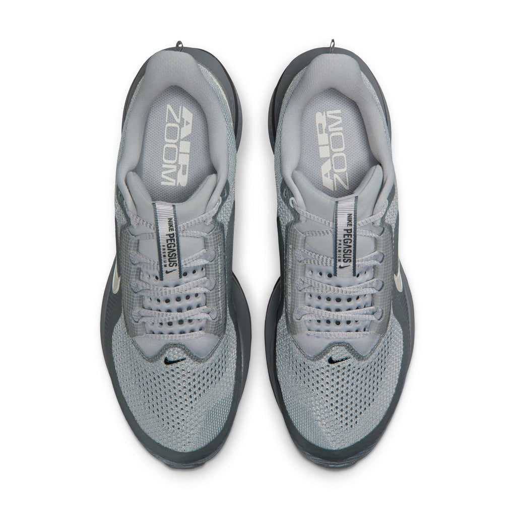Nike Pegasus Premium Homme - Gris Loup