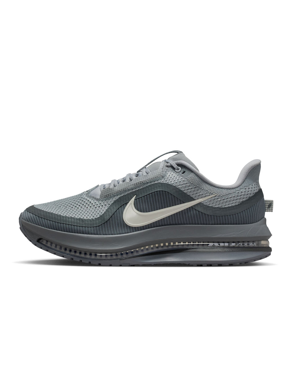 Nike Pegasus Premium Homme - Gris Loup