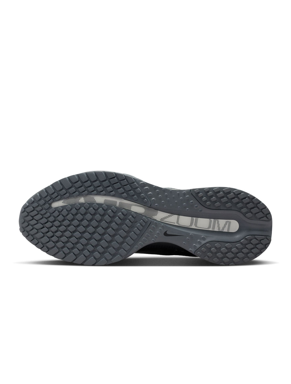 Nike Pegasus Premium Homme - Gris Loup