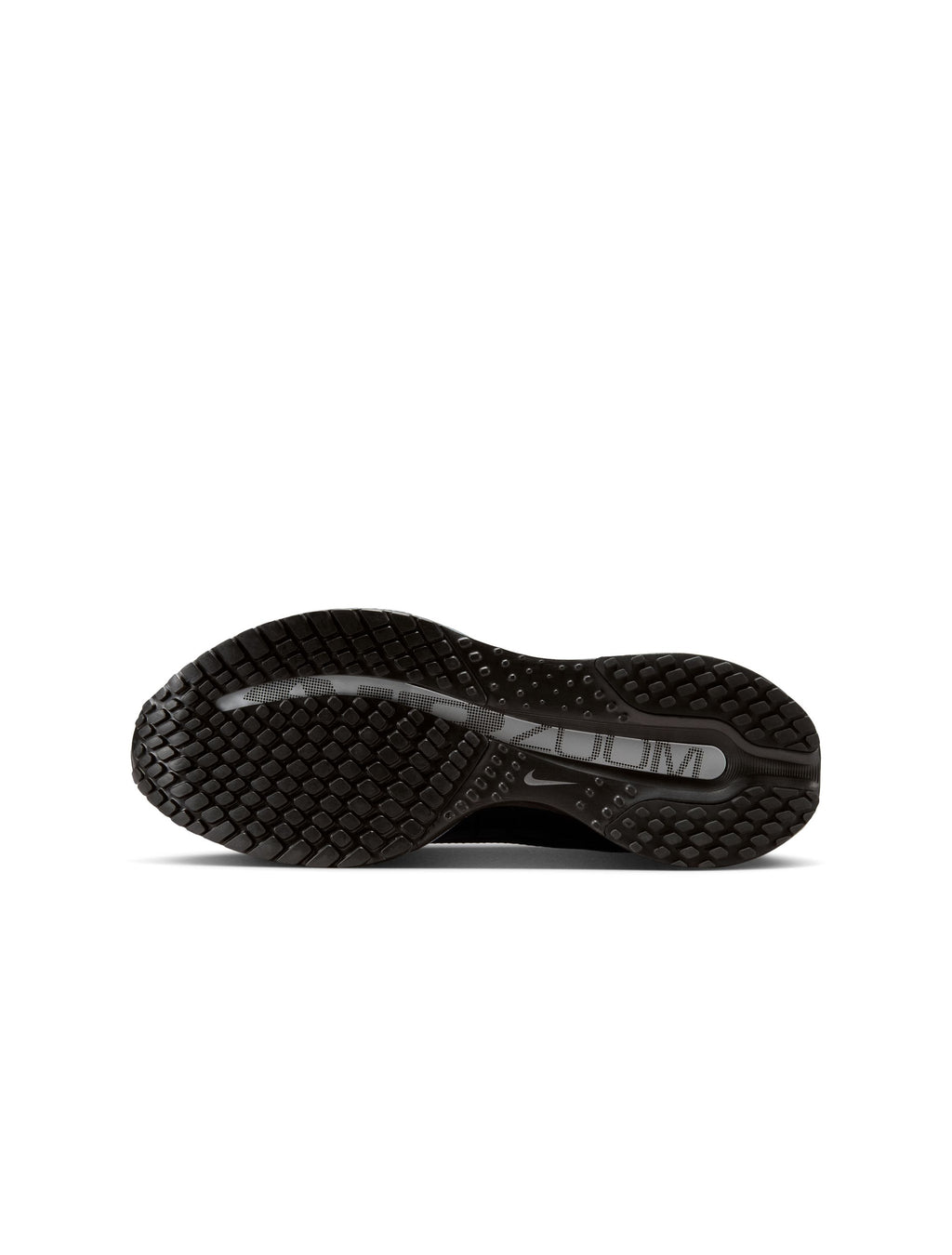 Nike Pegasus Premium Femme - Noir