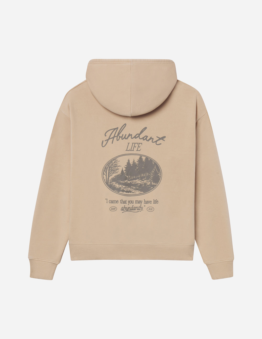 Sweat à capuche unisexe Abundant Life