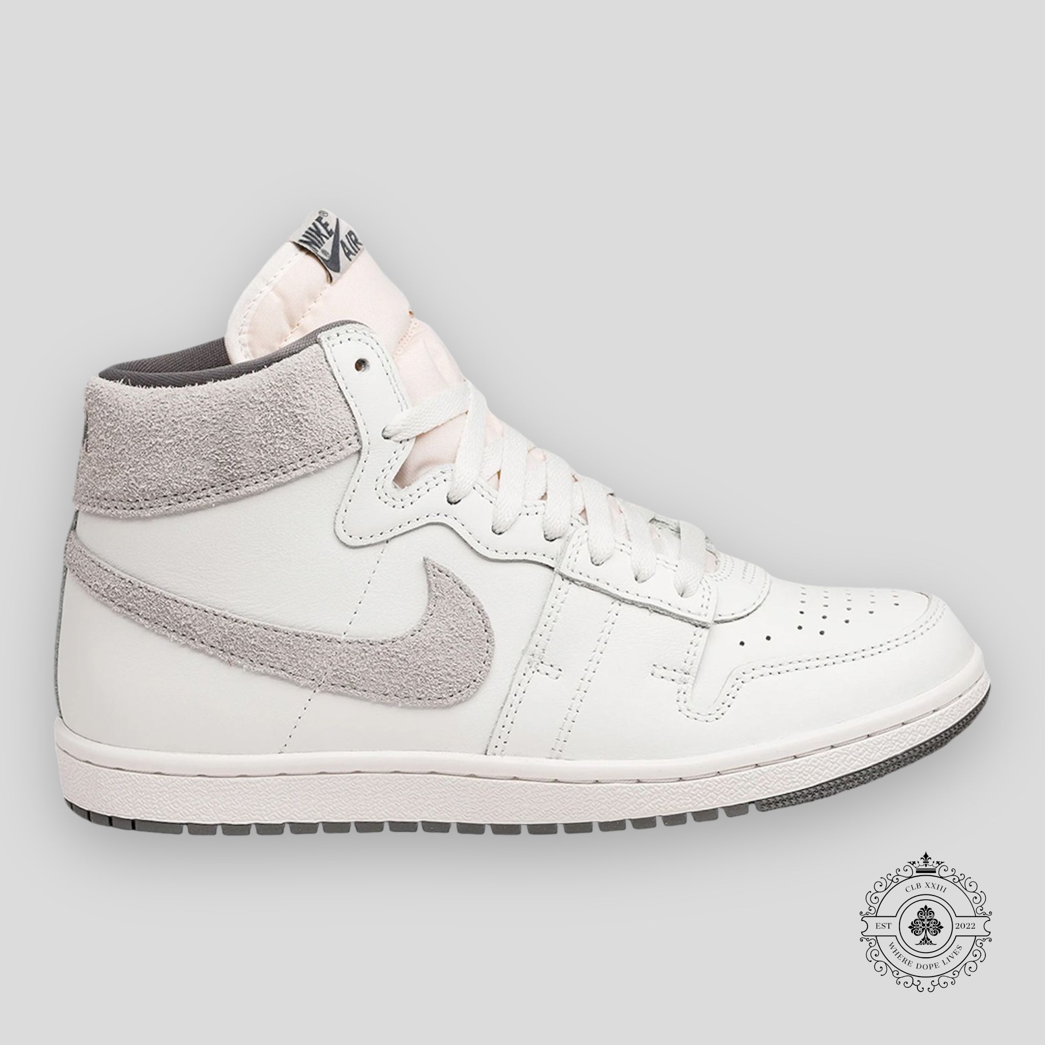Nike Jordan Air Ship PE SP Gris technique