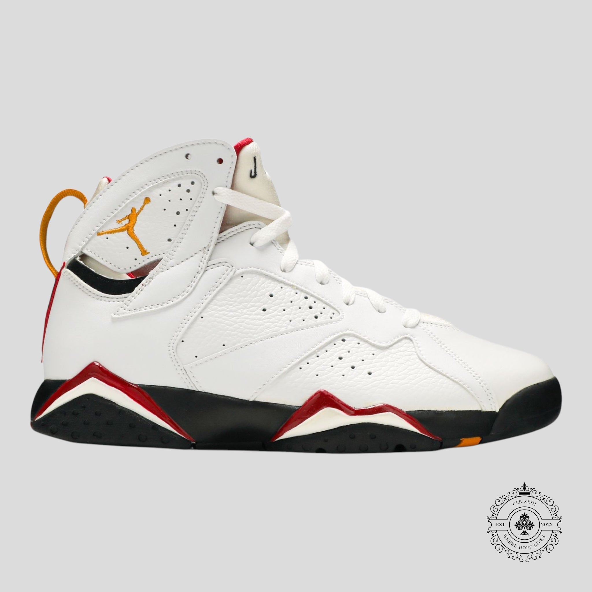 Air Jordan 7 Rétro Cardinal (2006)