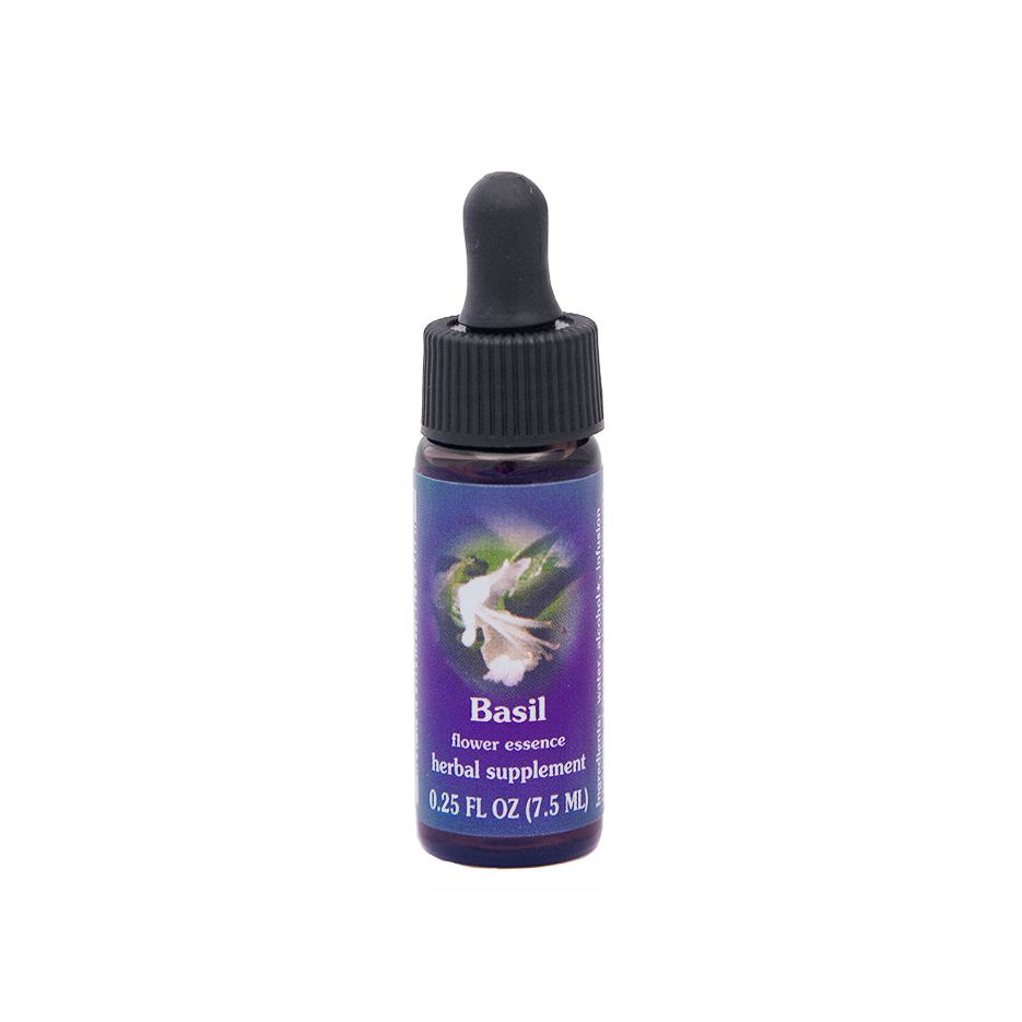 Services d'essences florales Basilic 7 ml