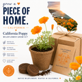 Kit de culture de pavot de Californie