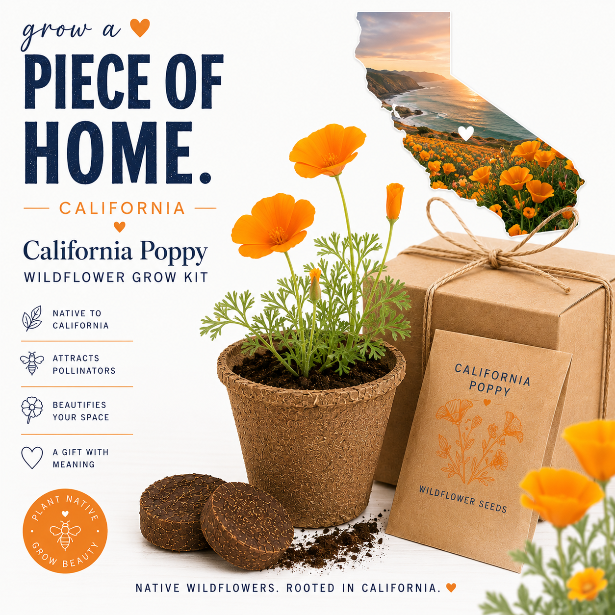 Kit de culture de pavot de Californie