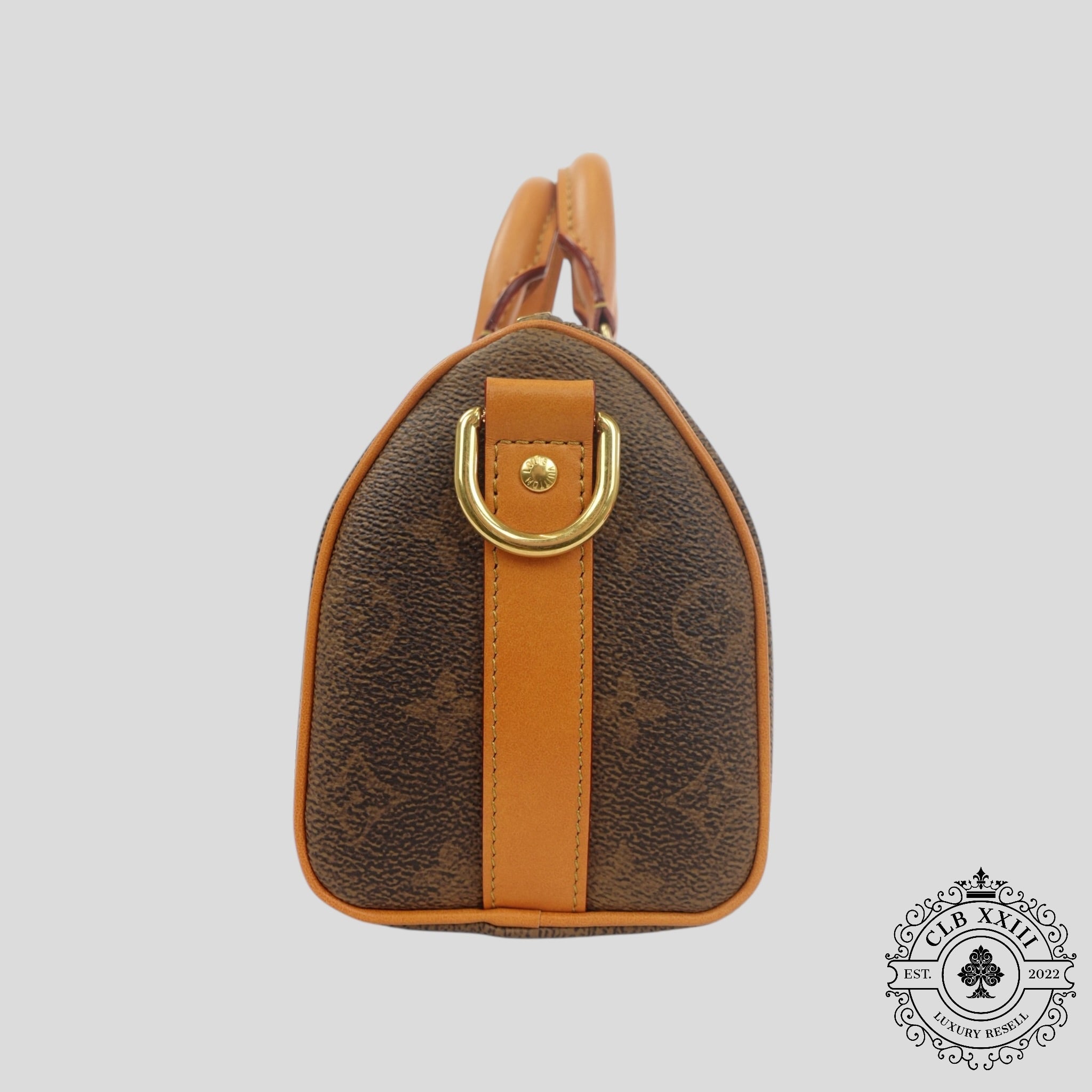 Louis Vuitton Monogramme Poussière Keepall 25