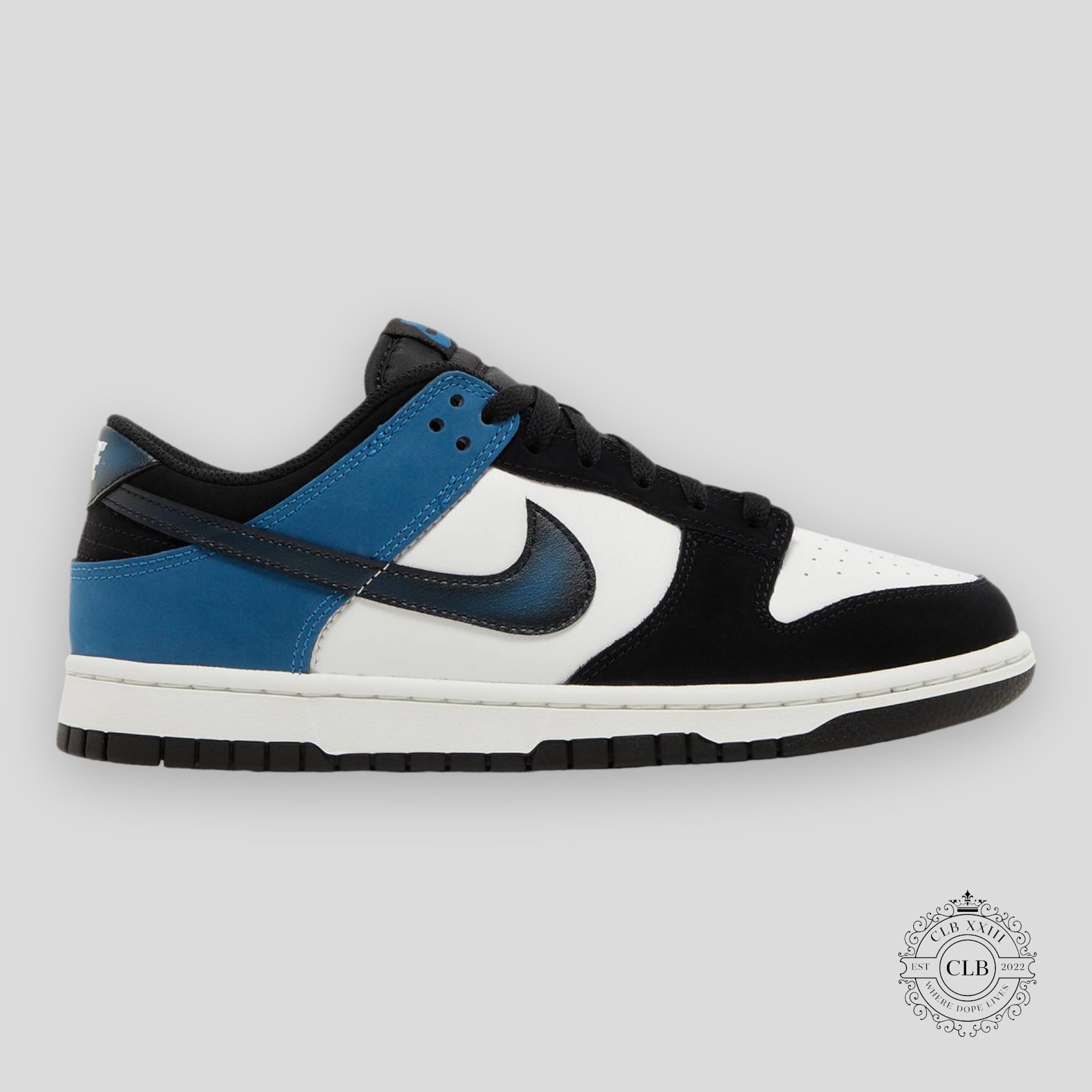 NIKE DUNK LOW « AÉROGRAPHE - BLEU INDUSTRIEL »