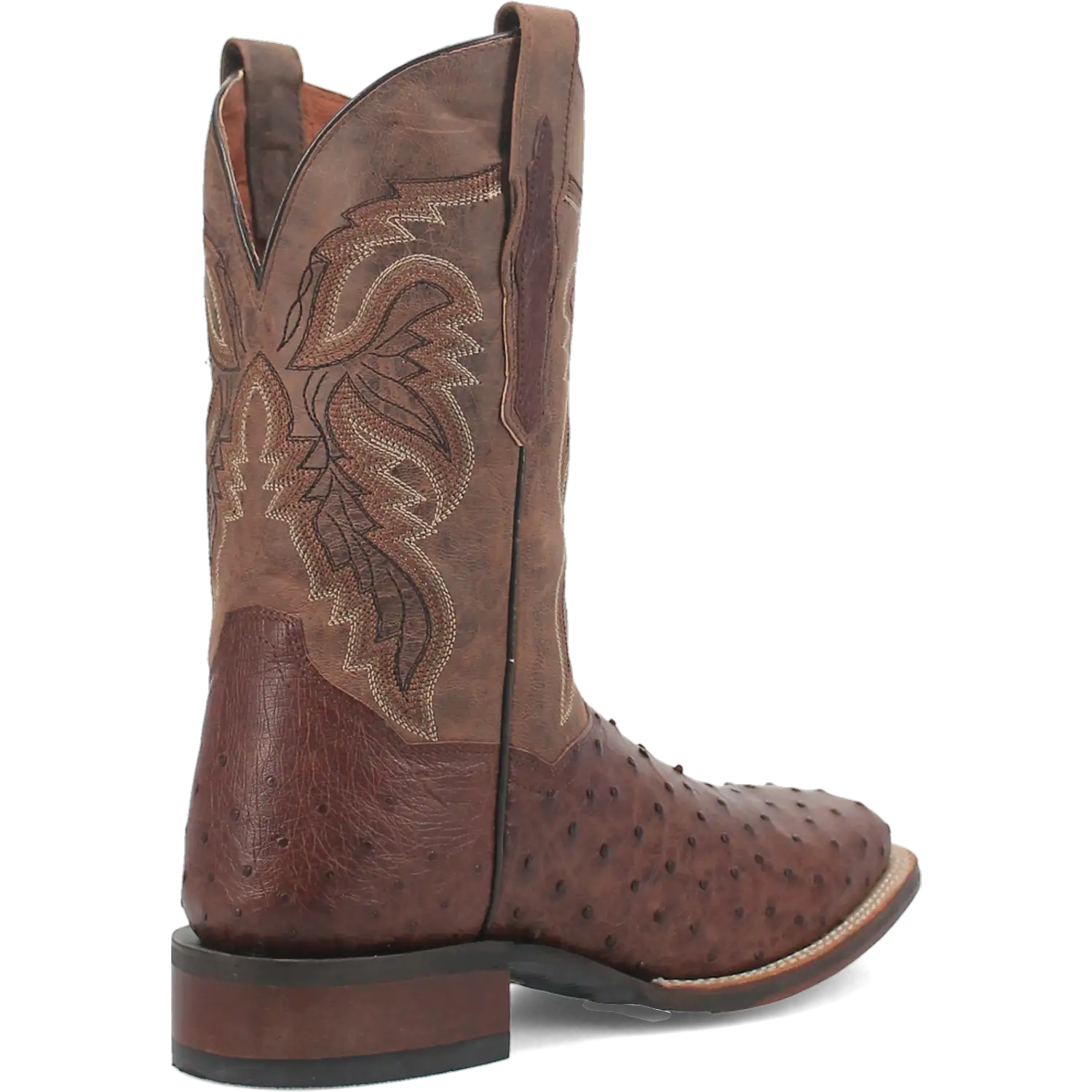 Bottes de cowboy en cuir d'autruche Dan Post Alamosa (chocolat/brun) pour hommes