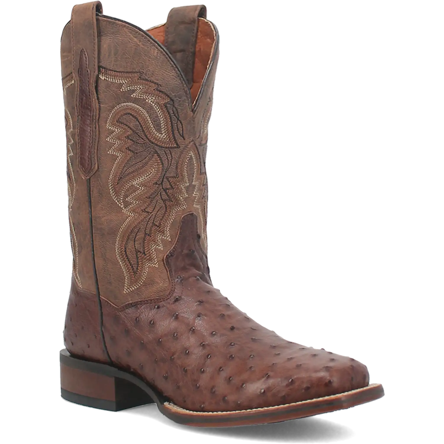 Bottes de cowboy en cuir d'autruche Dan Post Alamosa (chocolat/brun) pour hommes