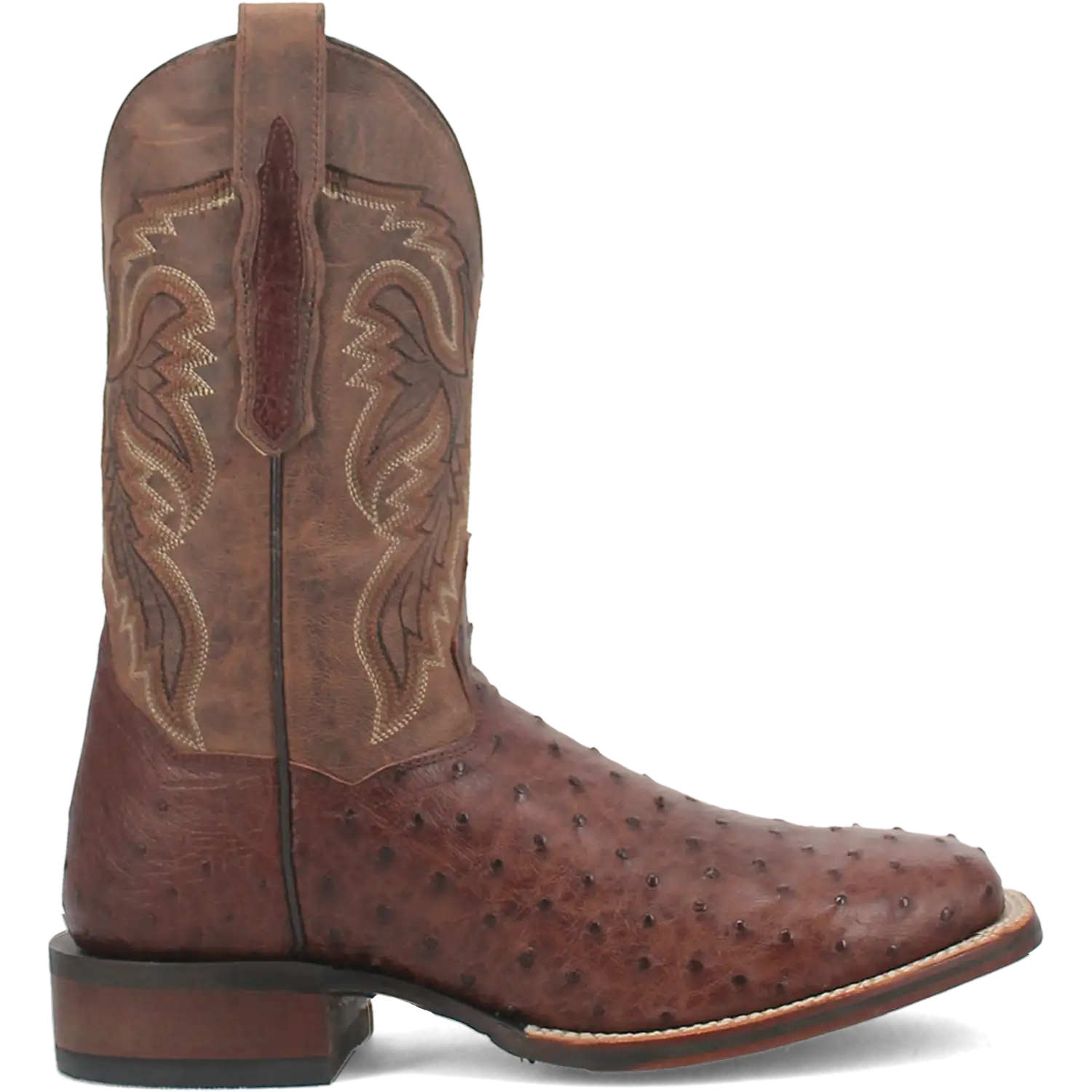 Bottes de cowboy en cuir d'autruche Dan Post Alamosa (chocolat/brun) pour hommes