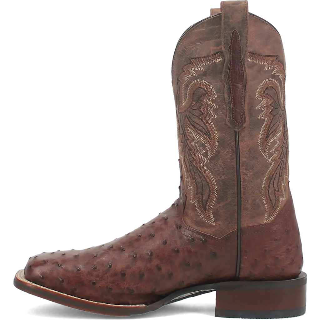 Bottes de cowboy en cuir d'autruche Dan Post Alamosa (chocolat/brun) pour hommes