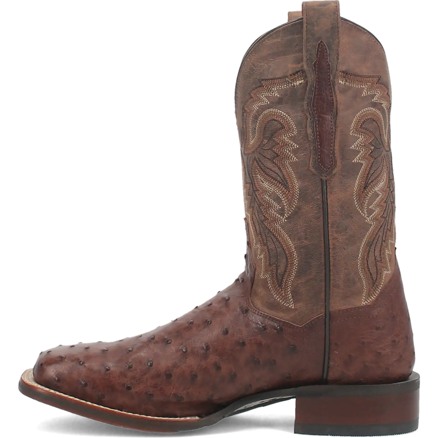 Bottes de cowboy en cuir d'autruche Dan Post Alamosa (chocolat/brun) pour hommes