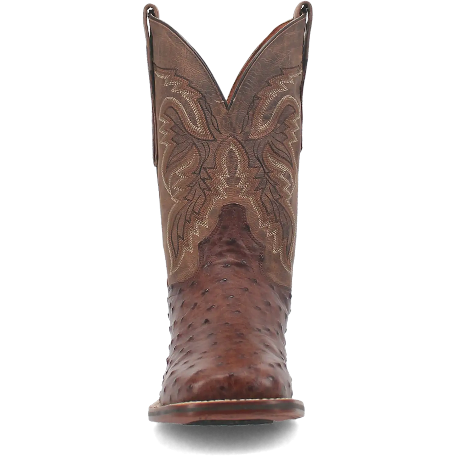Bottes de cowboy en cuir d'autruche Dan Post Alamosa (chocolat/brun) pour hommes