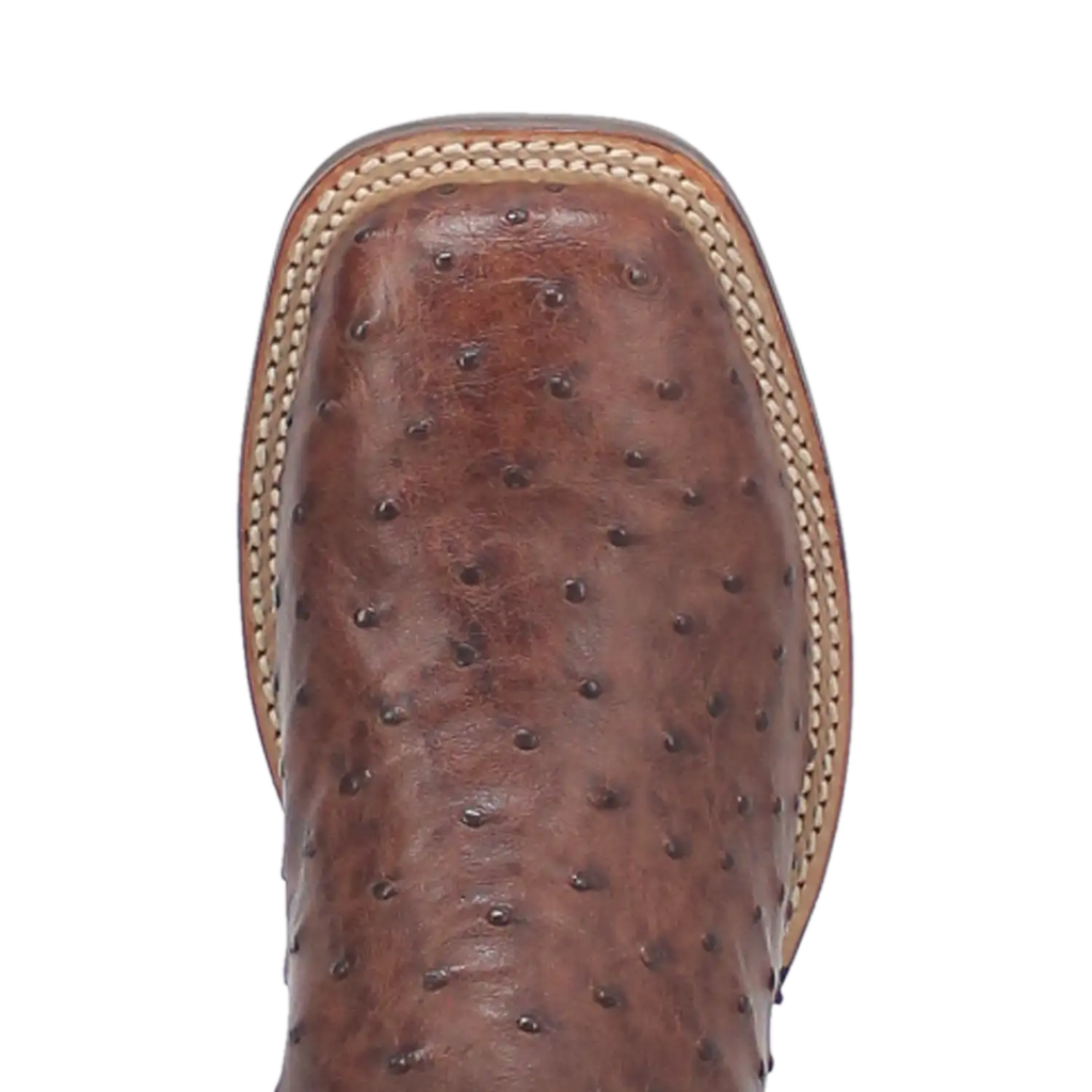 Bottes de cowboy en cuir d'autruche Dan Post Alamosa (chocolat/brun) pour hommes