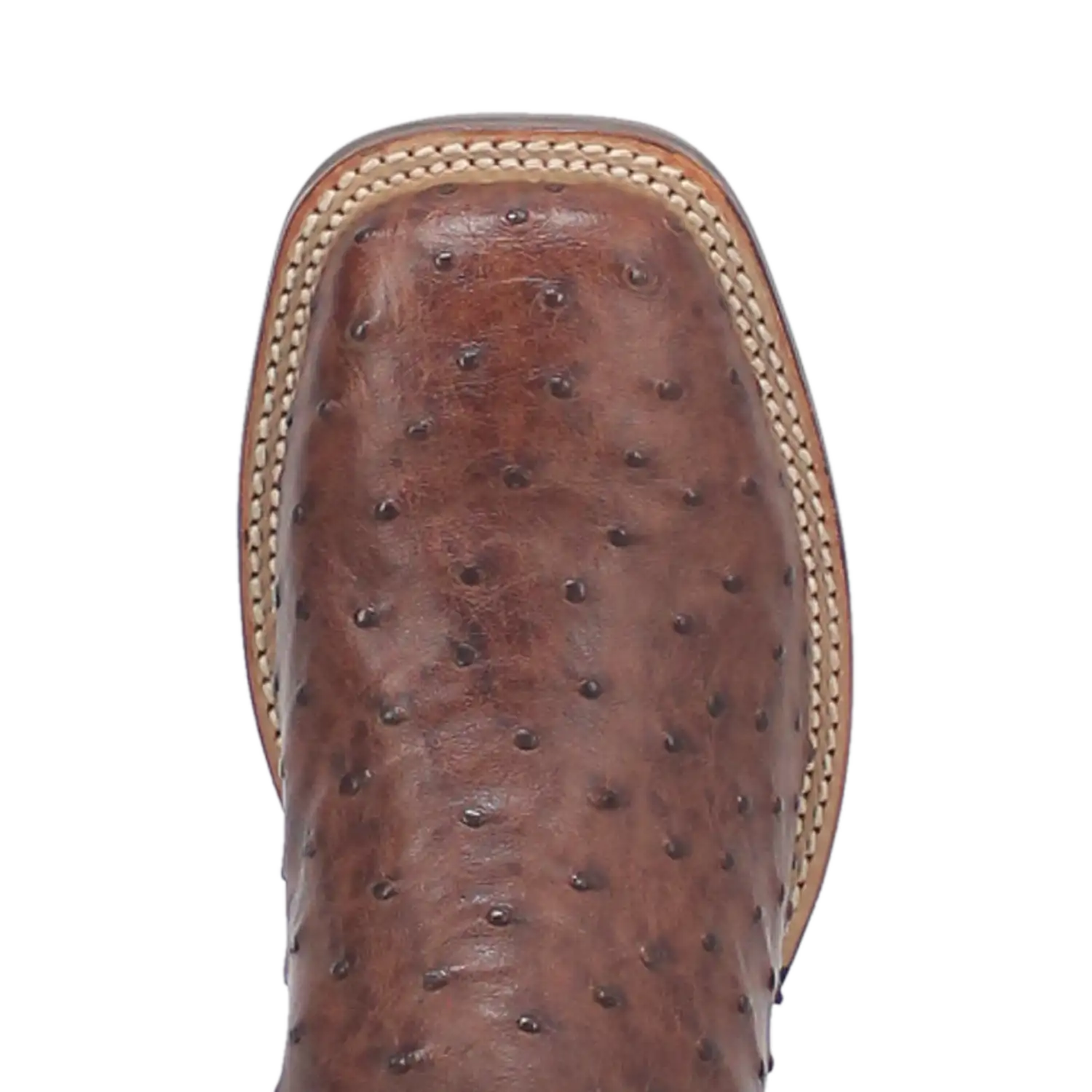 Bottes de cowboy en cuir d'autruche Dan Post Alamosa (chocolat/brun) pour hommes