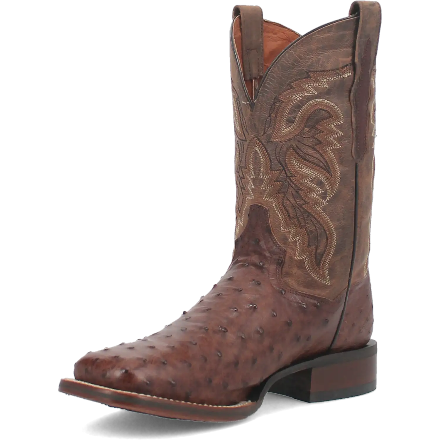 Bottes de cowboy en cuir d'autruche Dan Post Alamosa (chocolat/brun) pour hommes