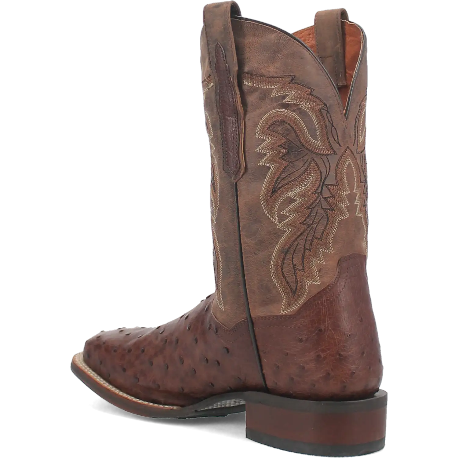 Bottes de cowboy en cuir d'autruche Dan Post Alamosa (chocolat/brun) pour hommes