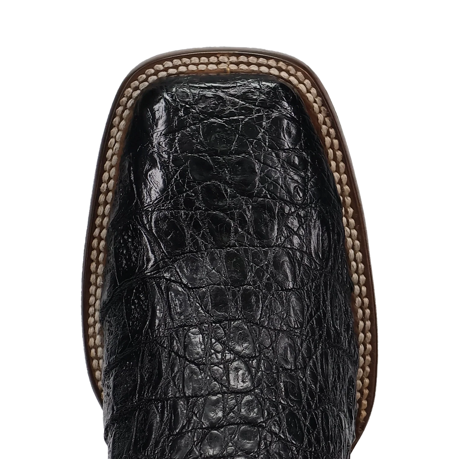 Bottes de cow-boy Dan Post Marsh en caïman pour hommes