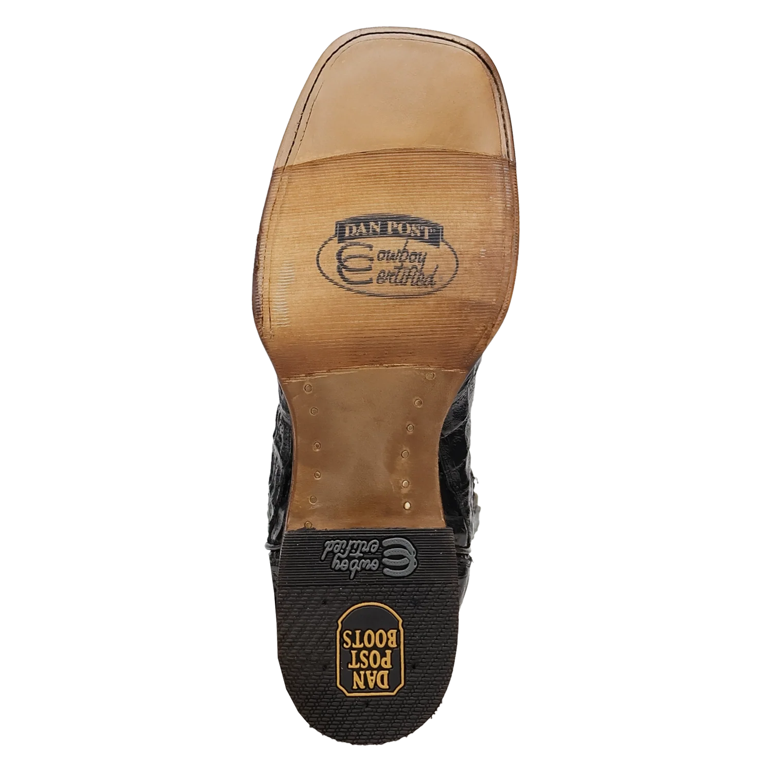 Bottes de cow-boy Dan Post Marsh en caïman pour hommes