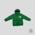 Manteau en duvet Gucci X The North Face vert