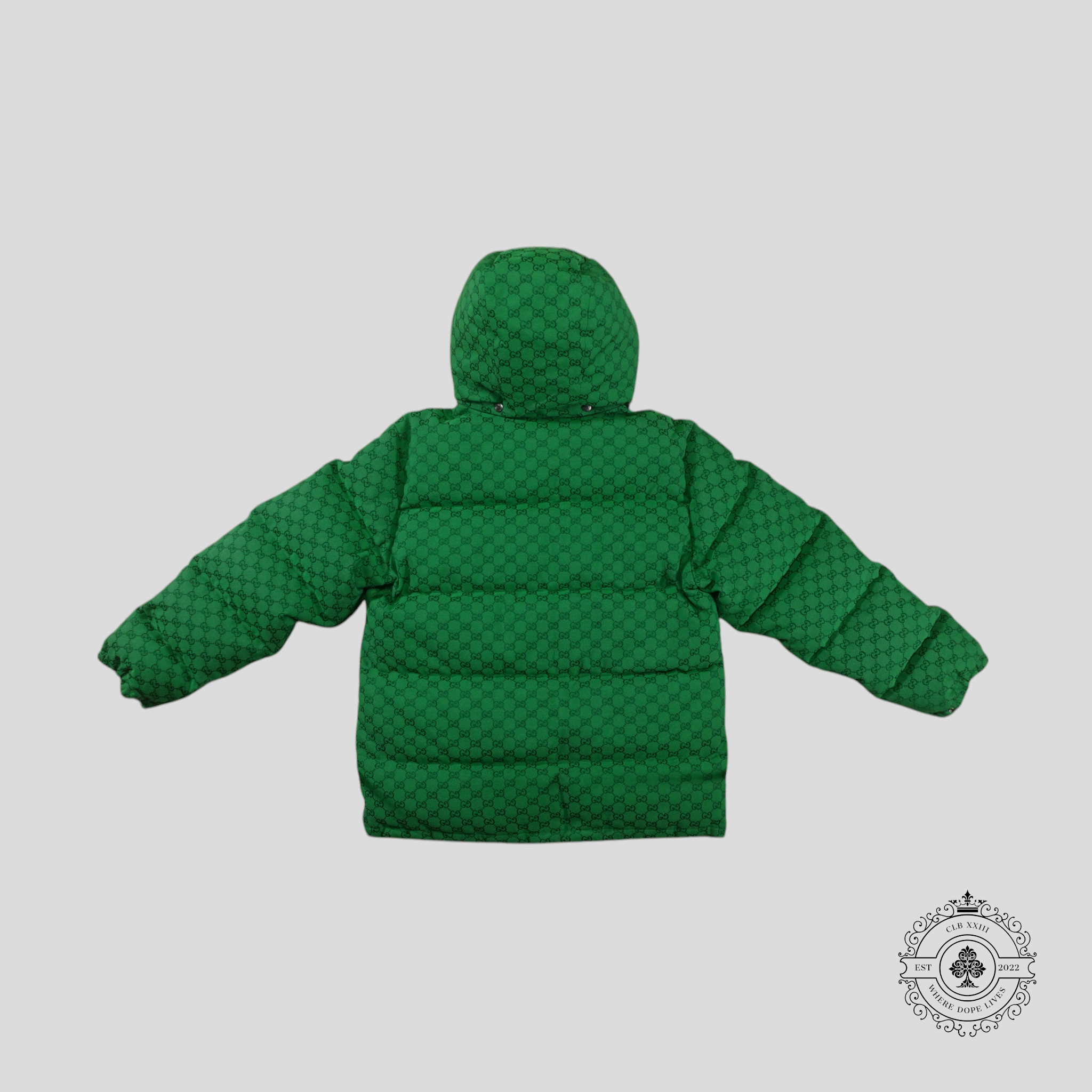 Manteau en duvet Gucci X The North Face vert