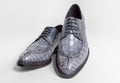 Maurice Dallas Alligator Oxford - Grey
