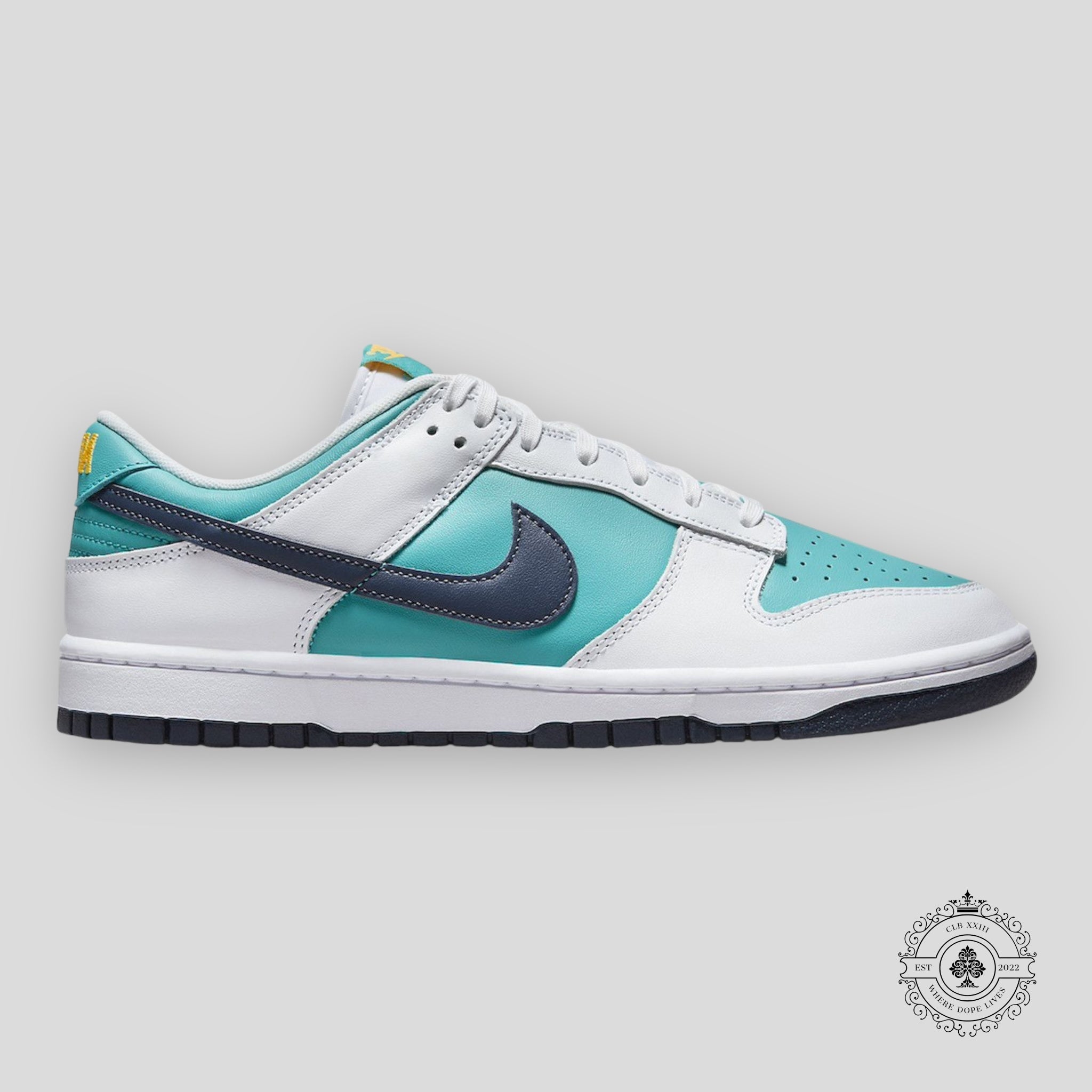 Nike Dunk Low Cactus Poussiéreux