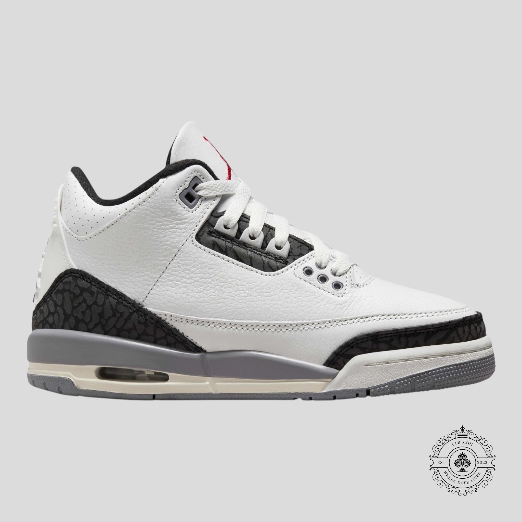 Air Jordan 3 Retro GS Ciment Gris