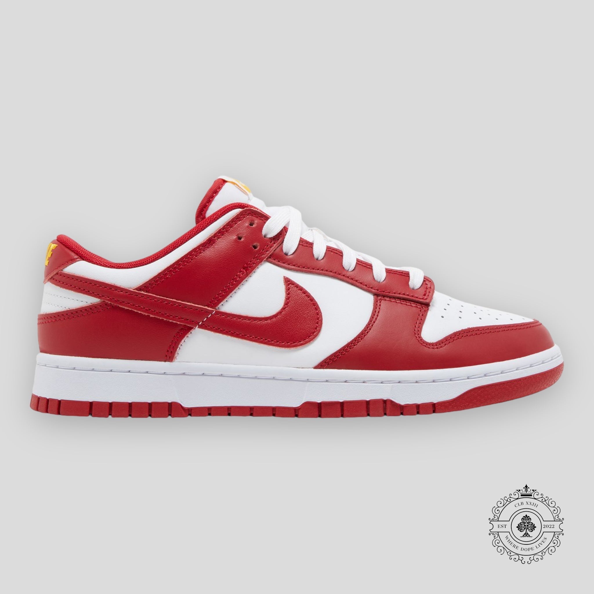 Nike Dunk Low « USC »
