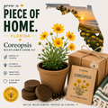 Kit de culture de Coreopsis de Floride