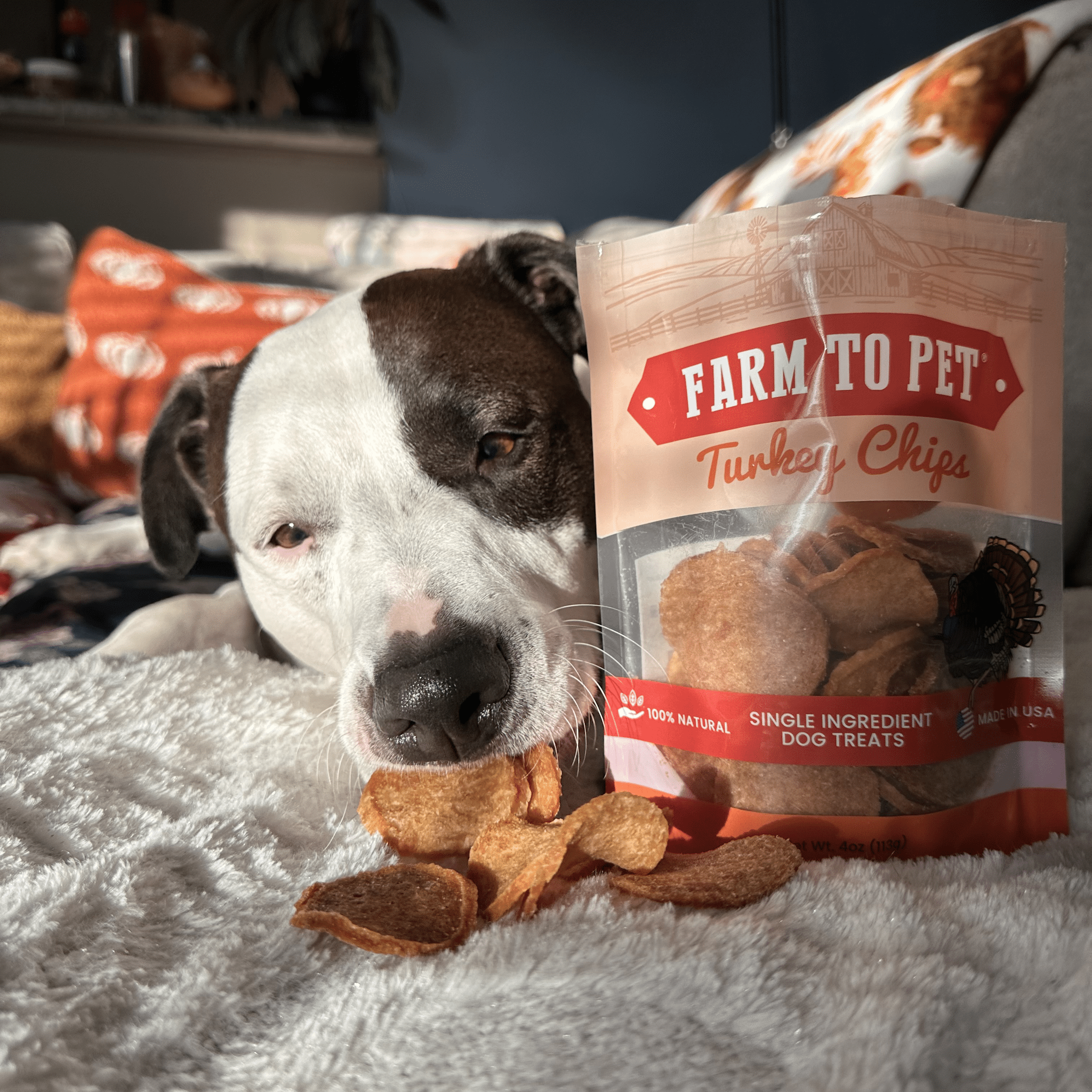 Frites de dinde pour chiens | Friandises saines et entièrement naturelles pour chiens à ingrédient unique