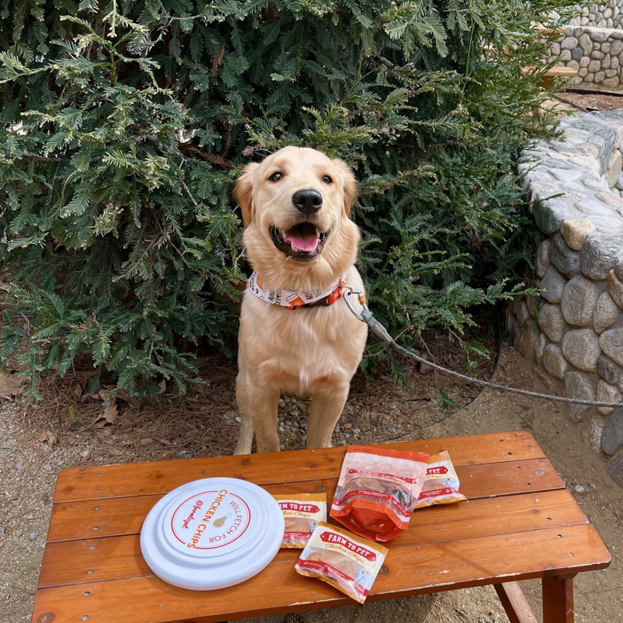 Disque pour chien "Fetch for Chicken Chips" | Jouet amusant pour chiens et humains