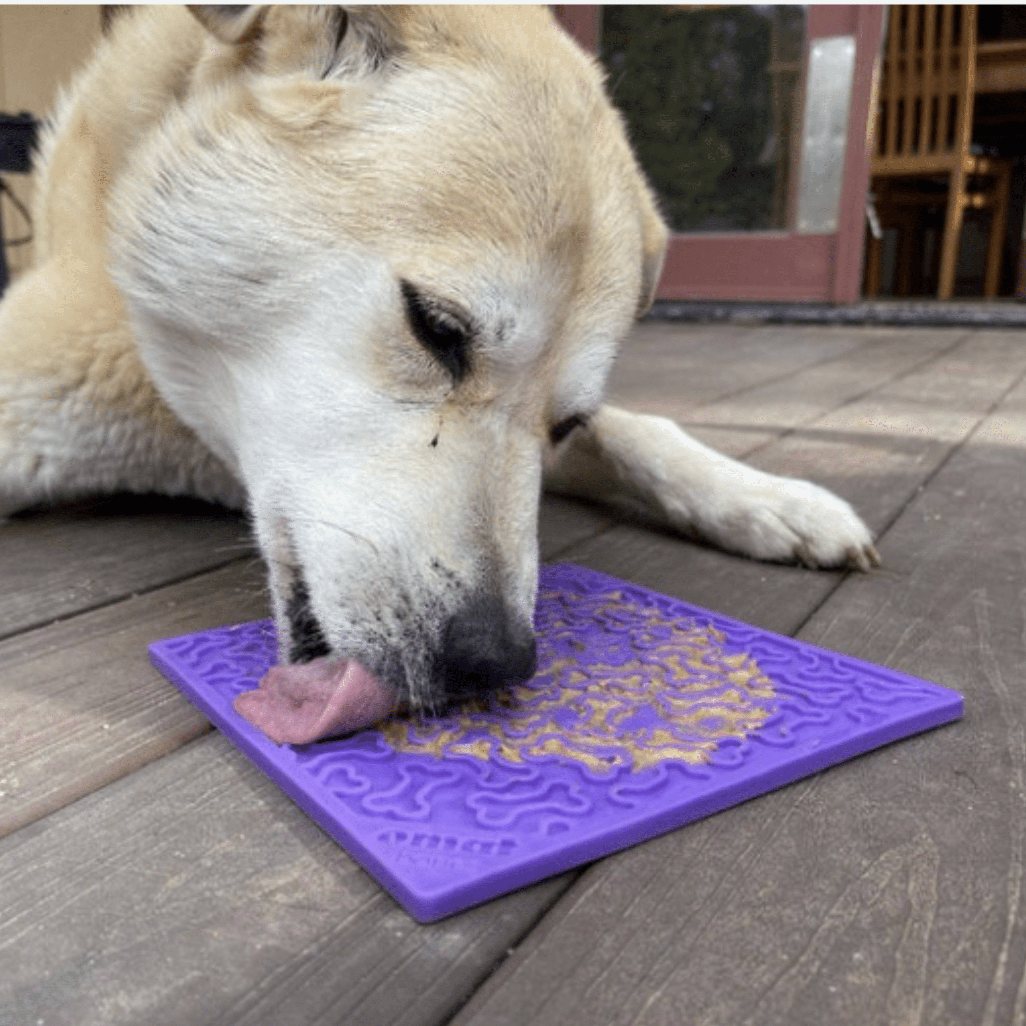 Tapis à lécher pour chiens