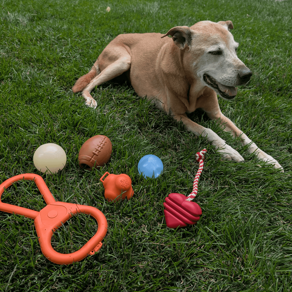 Jouets à mâcher