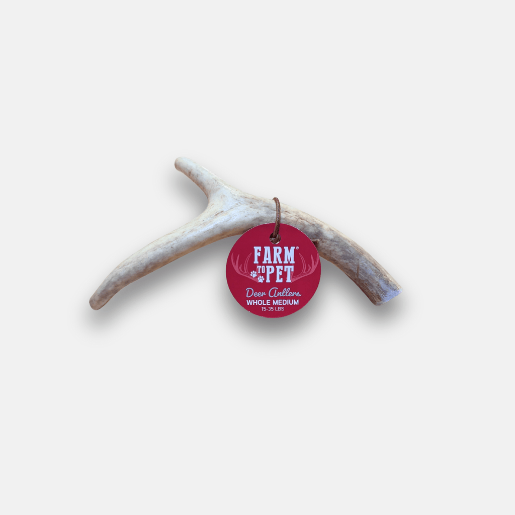 Bois de cerf à mâcher pour chien | Friandises à mâcher biologiques pour chiens