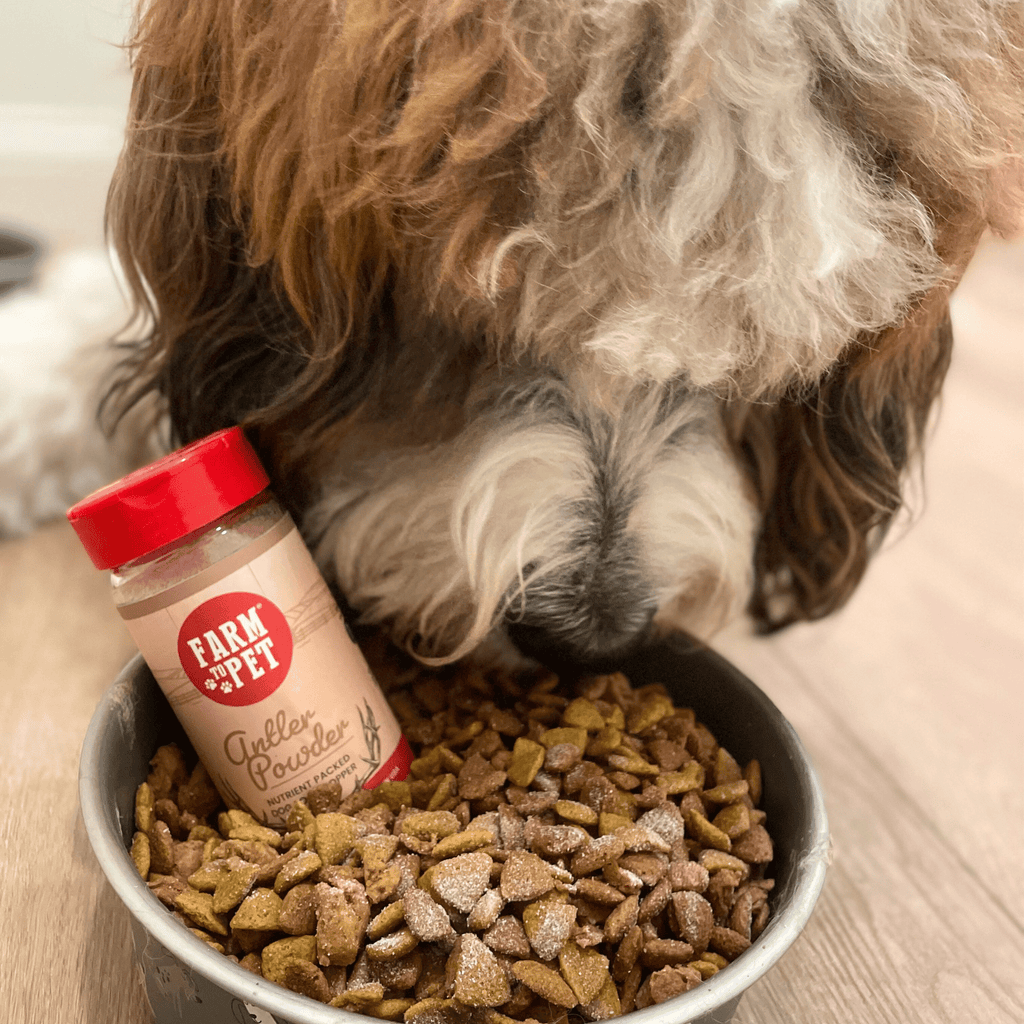 Gâterie en poudre de bois de cerf pour chiens | Supplément nutritionnel pour chiens et chats