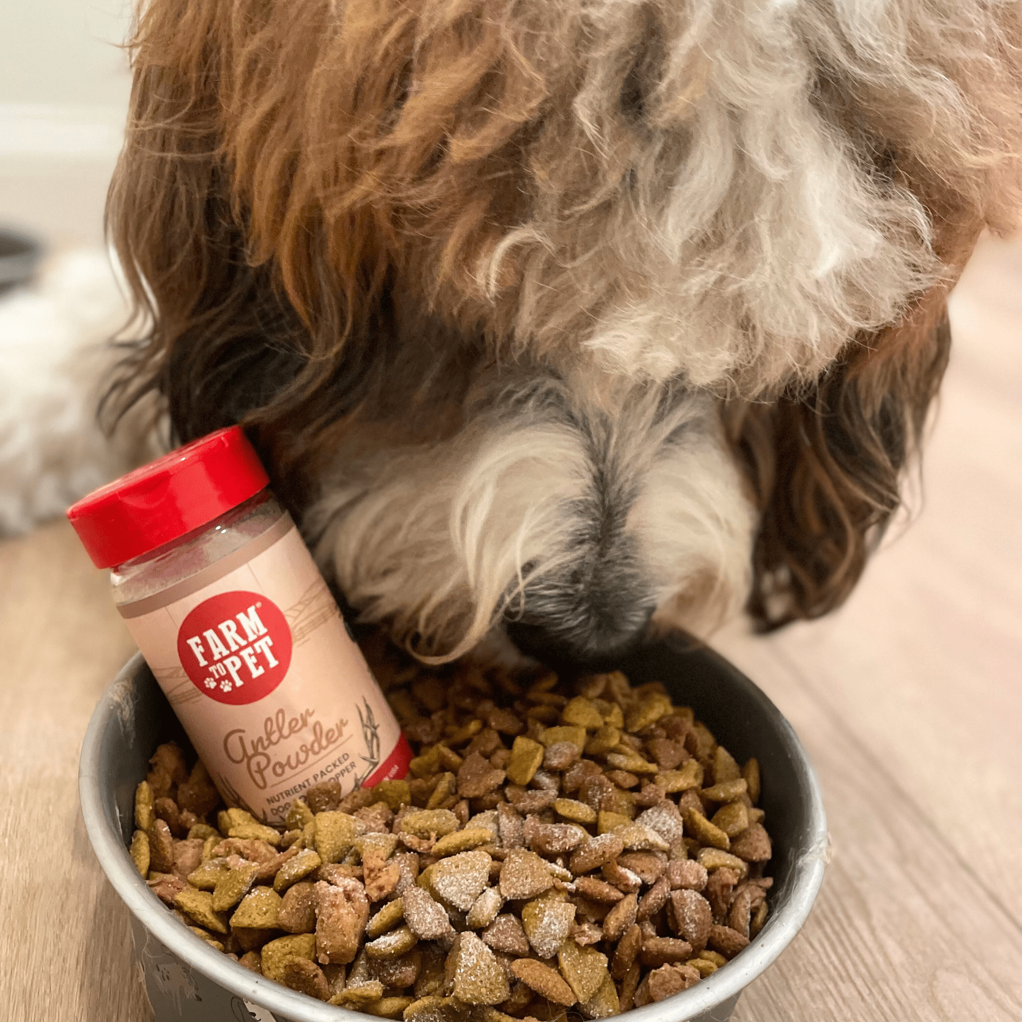 Gâterie en poudre de bois de cerf pour chiens | Supplément nutritionnel pour chiens et chats