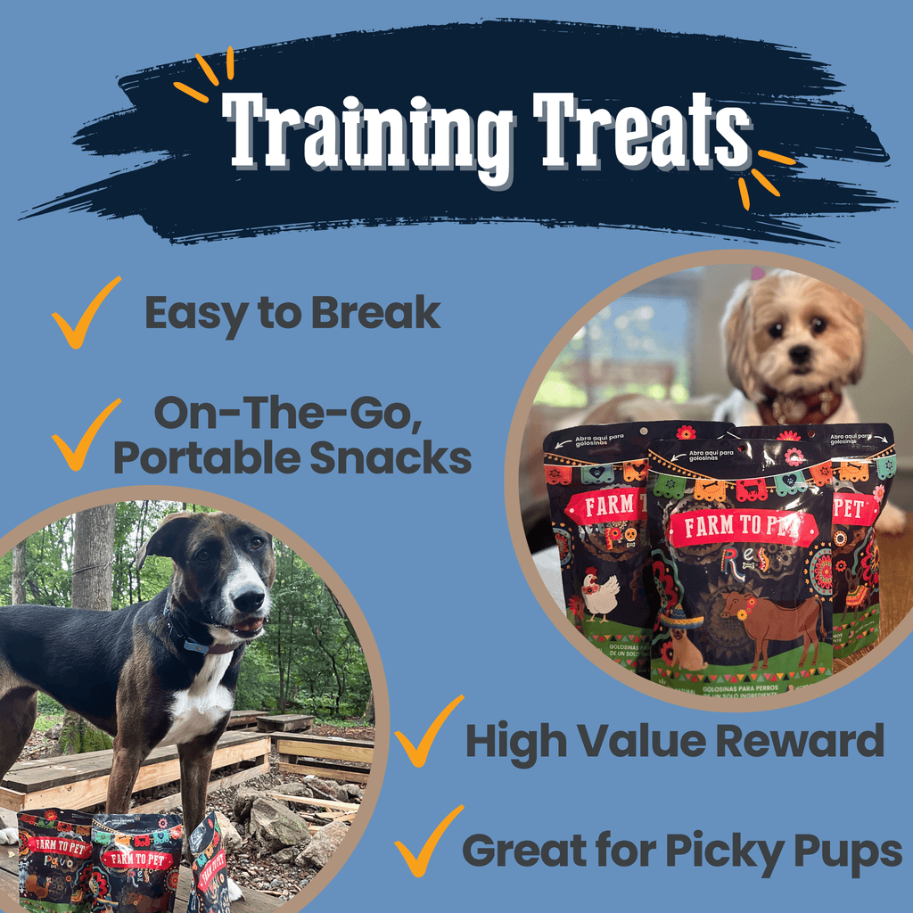 Friandises pour chiens Fiesta Pack | Lot de friandises variées pour chiens